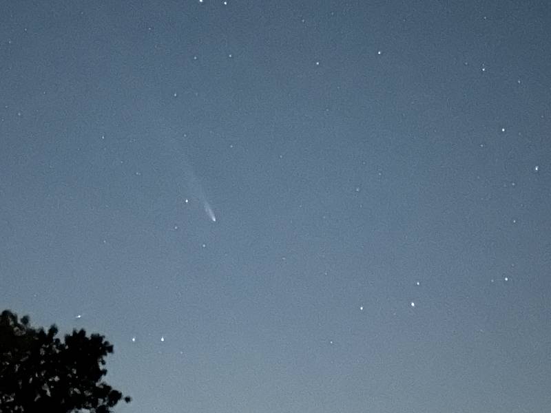 [ Comet A3 from Delaney Wildlife Area in Stow MA ]